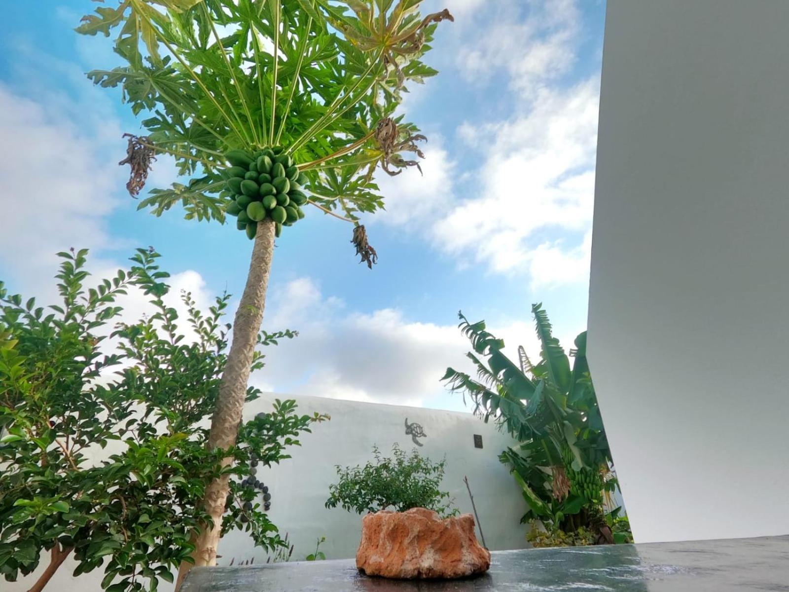 Jardin Del Mar Apartment Tinajo Luaran gambar